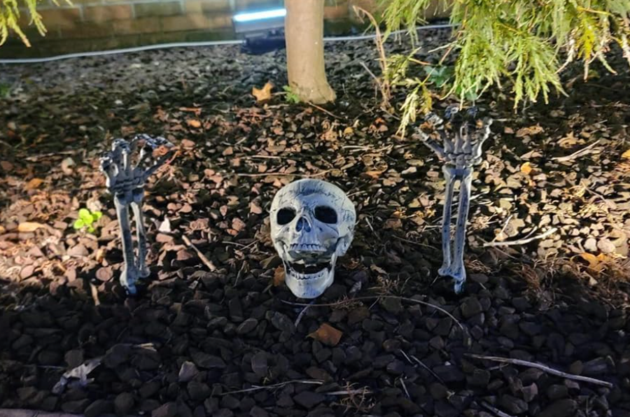 Realistic Skeleton Halloween Yard Stake Decorations - additional view