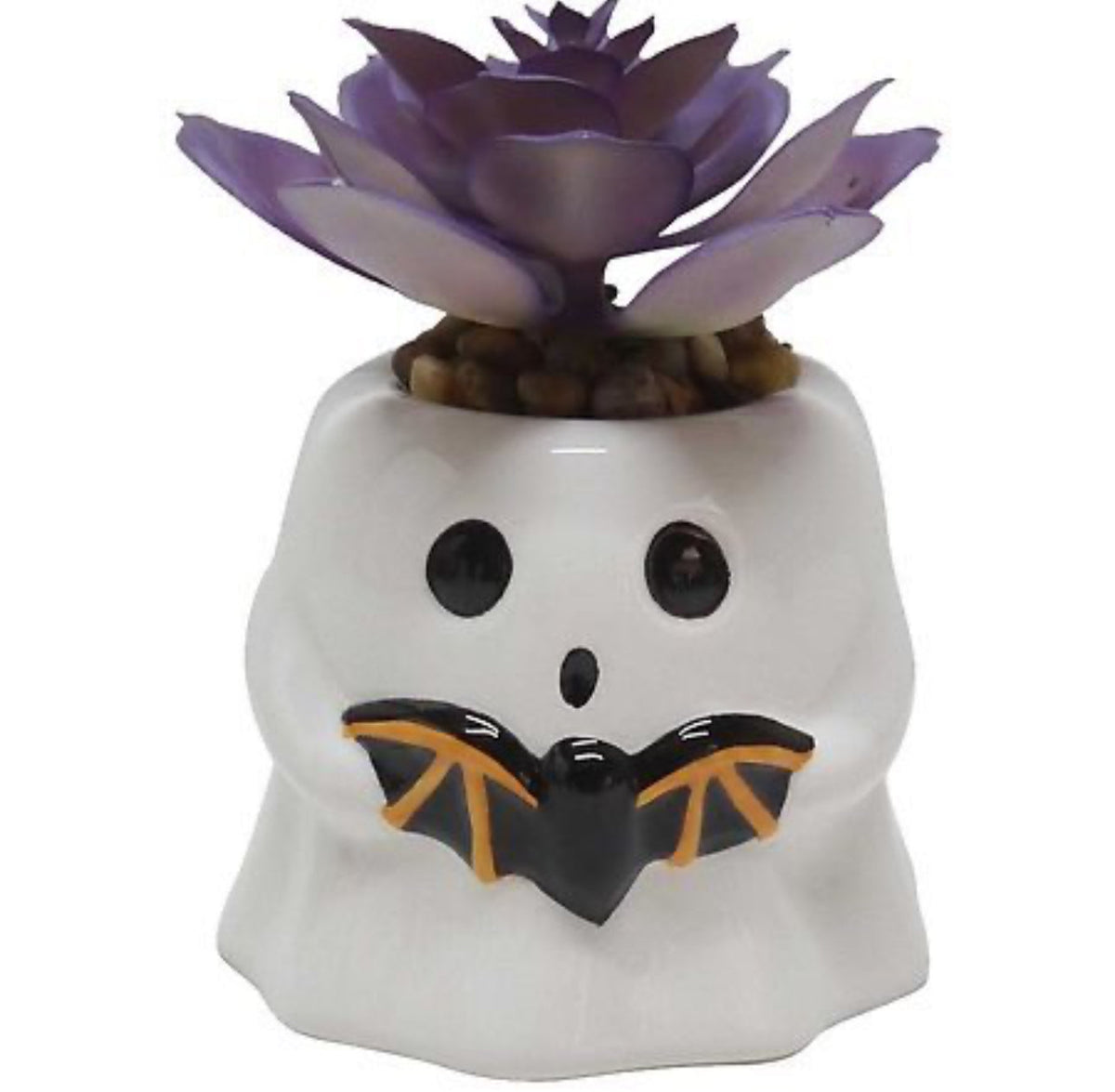 Halloween succulents, ghost with bat, scared, mummy, pumpkin head skeleton, individual, or set of three. 4-6” - additional view