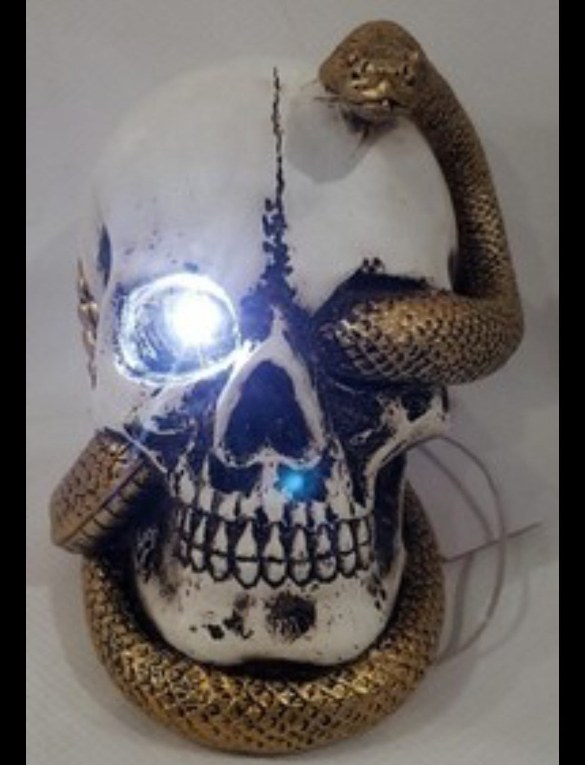 Skull with gold snake LED light up Halloween decoration, lamp 7” resin - additional view