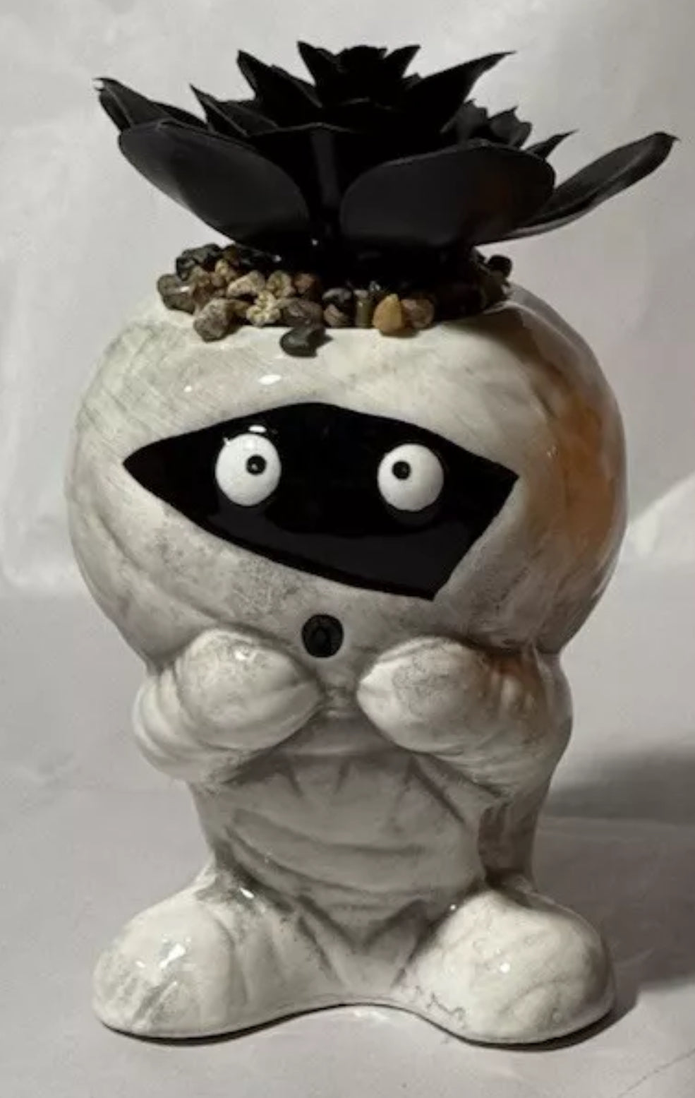 Halloween succulents, ghost with bat, scared, mummy, pumpkin head skeleton, individual, or set of three. 4-6” - additional view