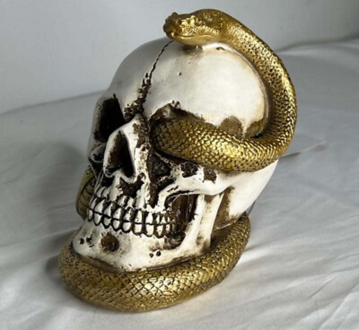 Skull with gold snake LED light up Halloween decoration, lamp 7” resin