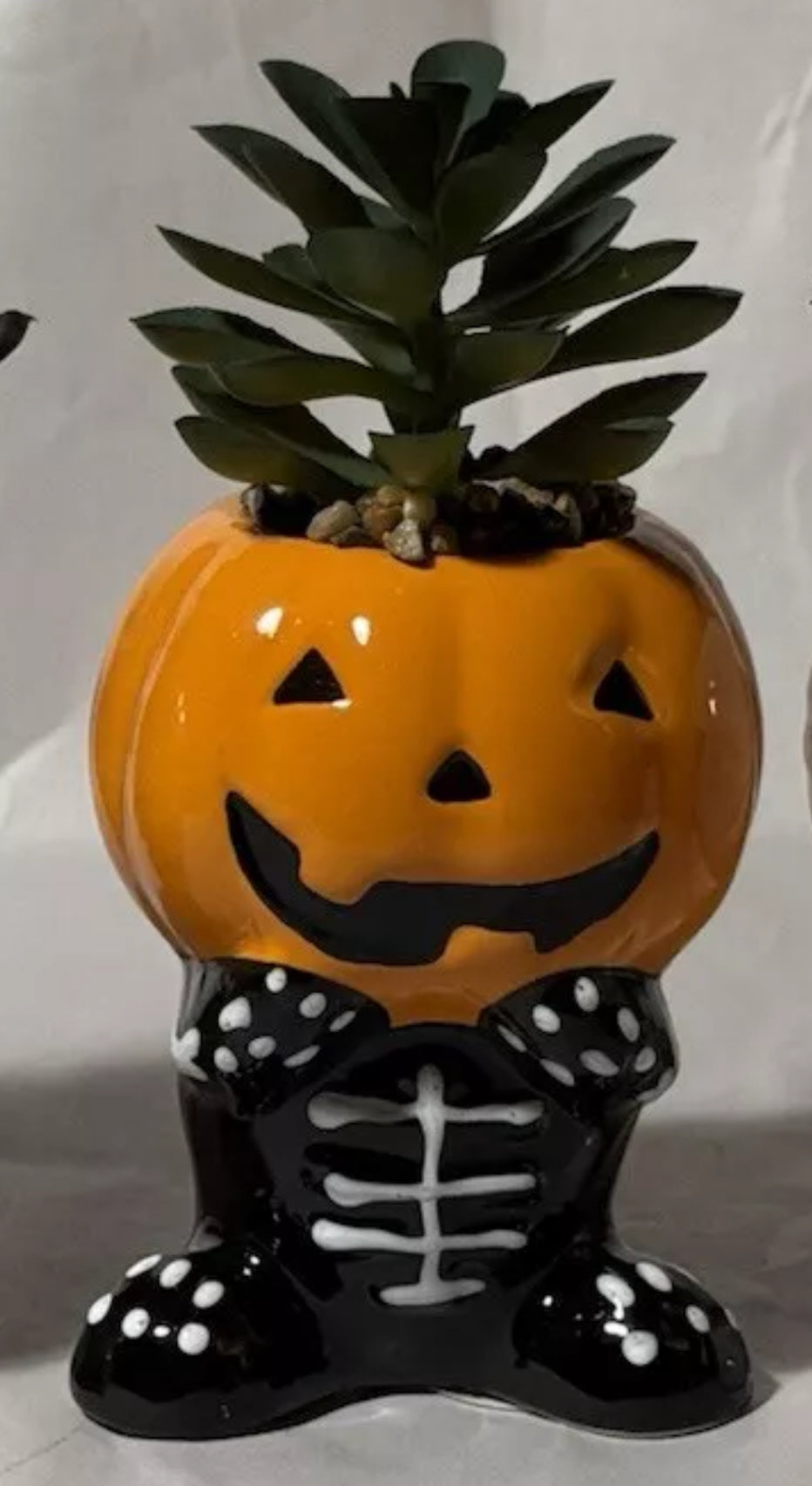 Halloween succulents, ghost with bat, scared, mummy, pumpkin head skeleton, individual, or set of three. 4-6” - additional view