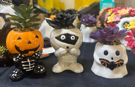 Halloween succulents, ghost with bat, scared, mummy, pumpkin head skeleton, individual, or set of three. 4-6”