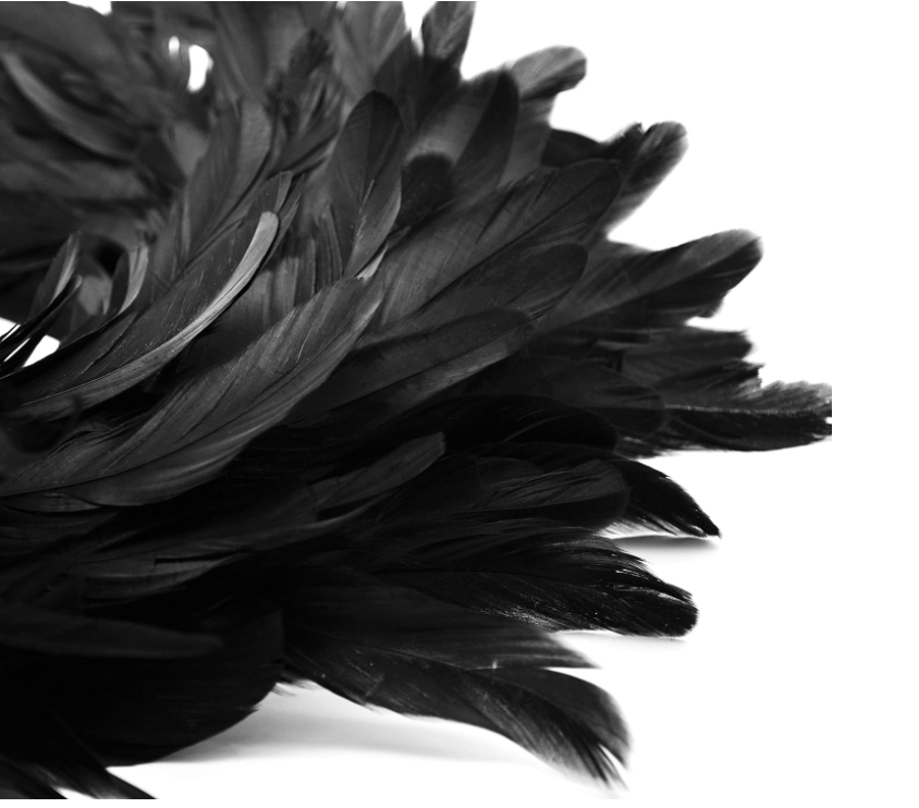 Natural Feathers Wreath 13.5" in Black for Halloween Decorations, Spooky Scene - additional view